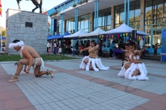 IMG_8239